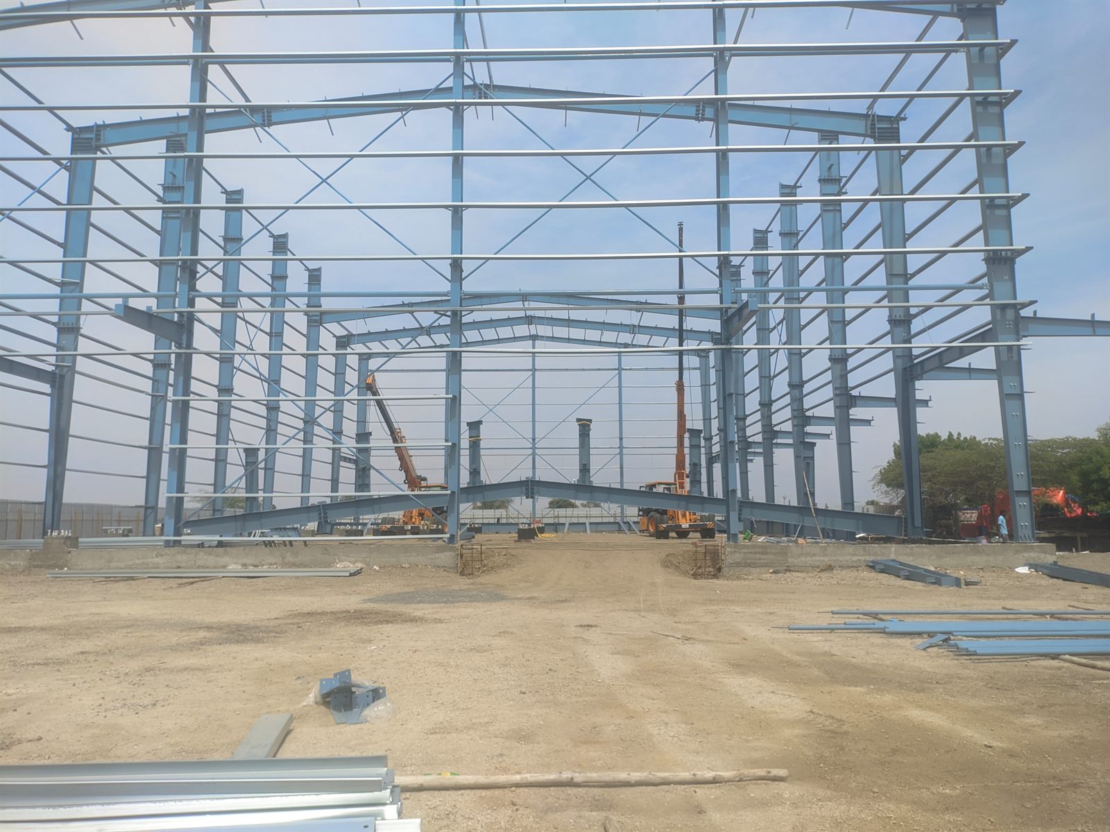 The steel frame standing bay by bay, rafters lifted into place by mobile cranes